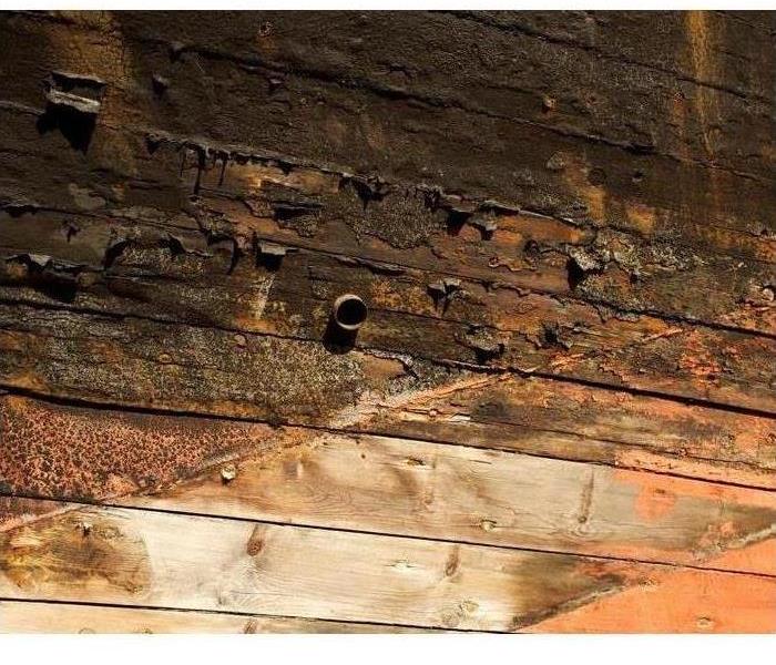Image of Dry Rot