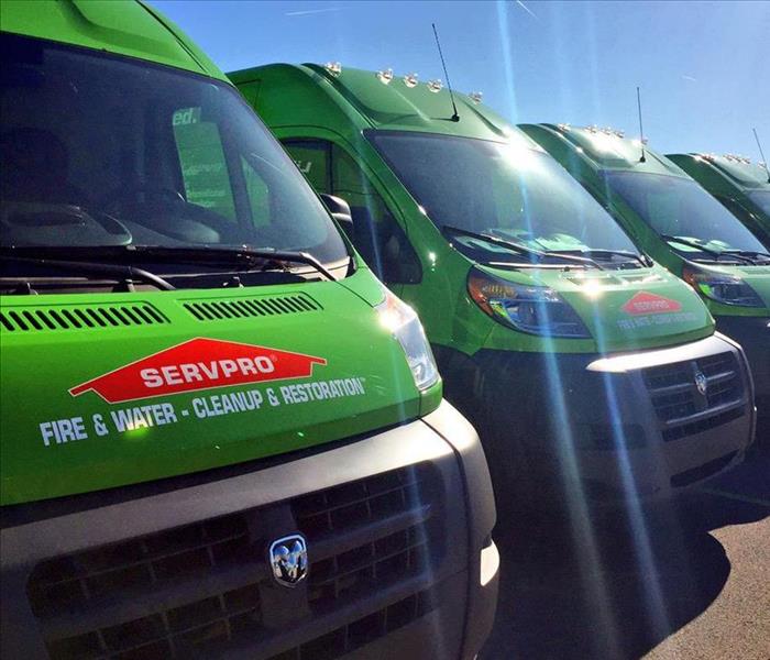 SERVPRO vehicles lined up.